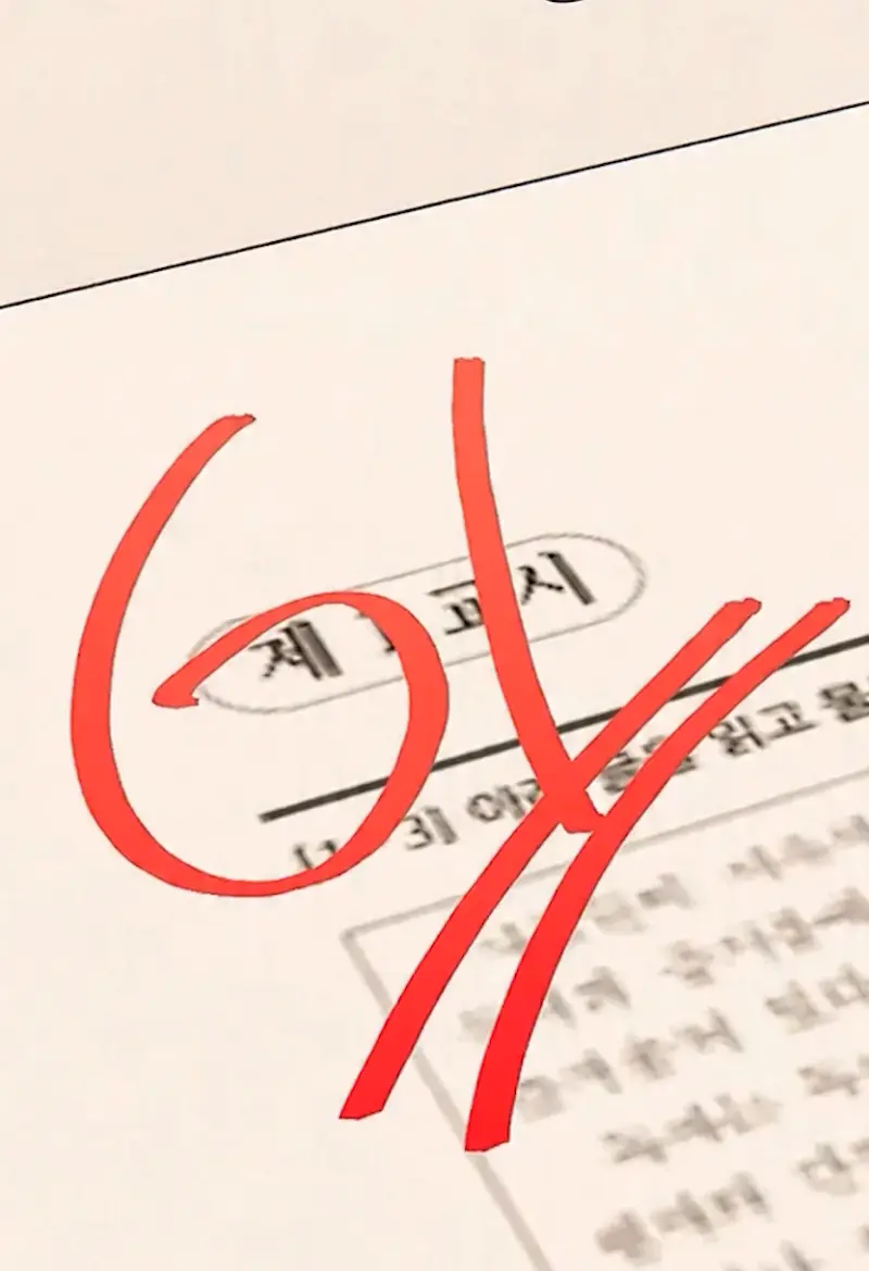 導入画像