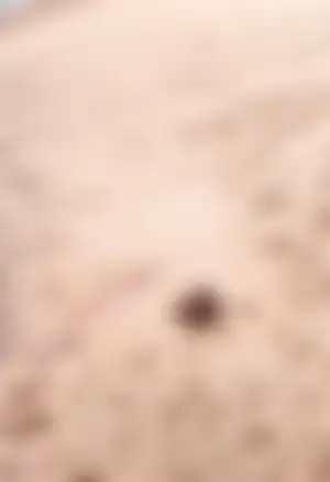 まだ早い~もっと仲良くなってから
